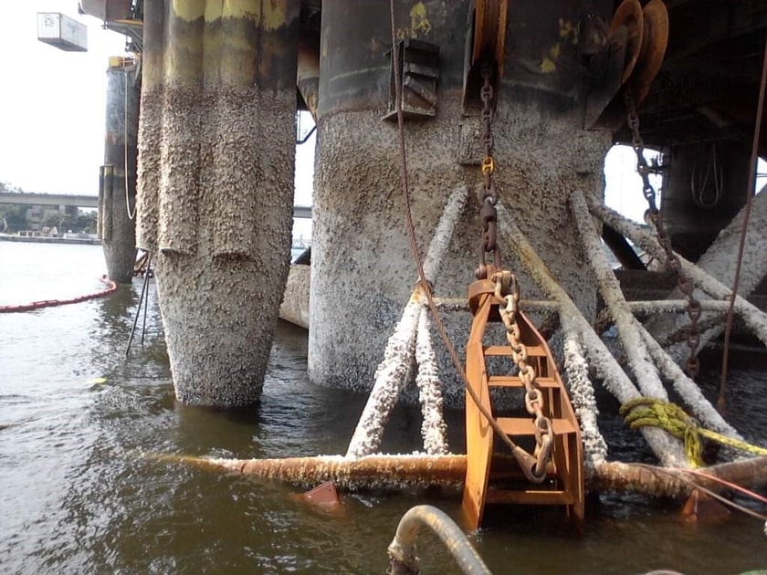Adherence of marine organisms to maritime structures is known as biofouling, which can benefit can be deterred by advanced fluoropolymer coatings.